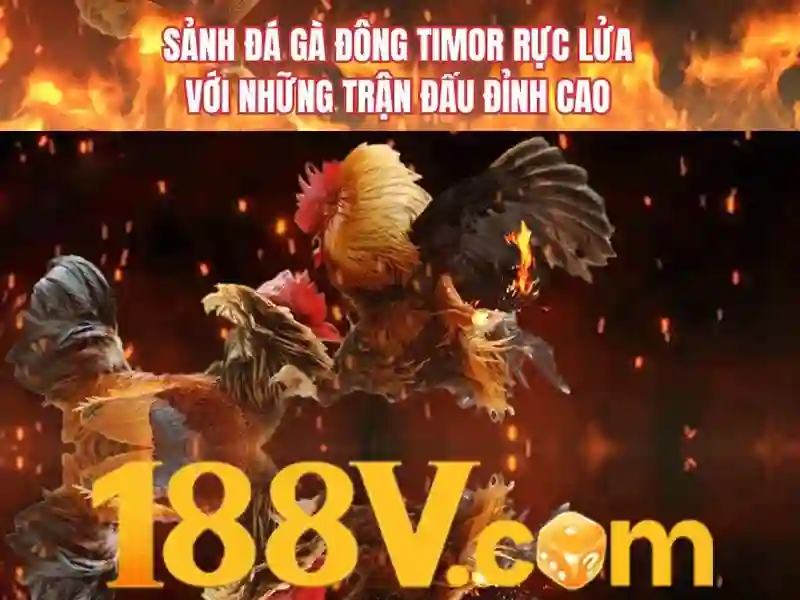 trải nghiệm giải trí - 188V - disneyporno.net trải nghiệm giải trí - 188V - disneyporno.net