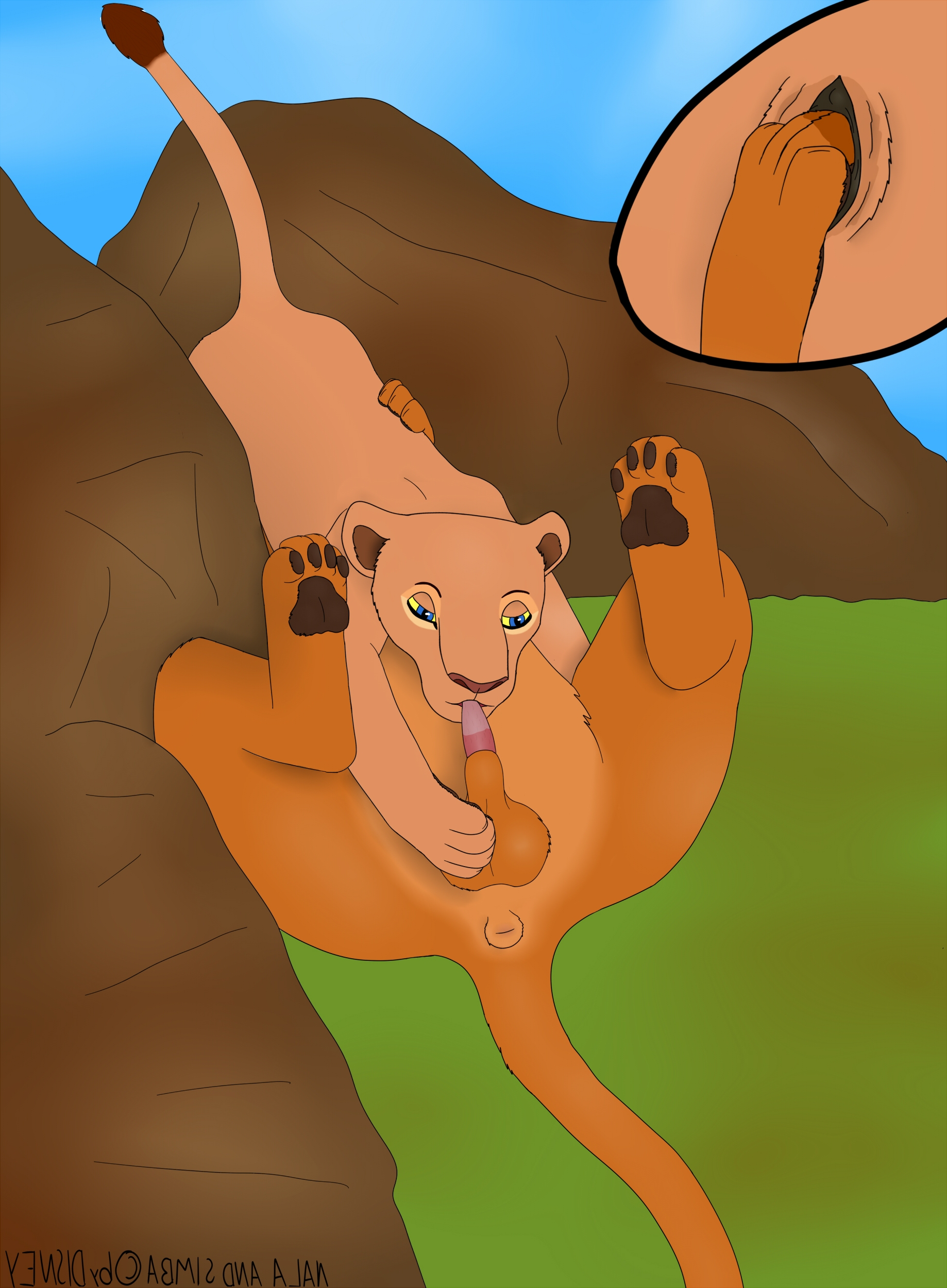 Anatomically Correct Lion Porn - nala,simba | the lion king xxx 69 #9351150931 anatomically correct anus  balls clitoris color day disney feline | Disney Porn